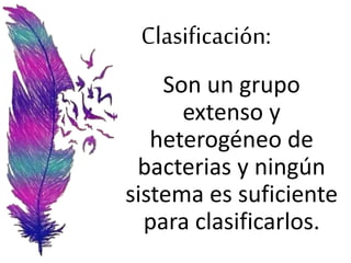 Clasificación:
Son un grupo
extenso y
heterogéneo de
bacterias y ningún
sistema es suficiente
para clasificarlos.
 