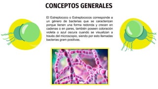 CONCEPTOS GENERALES
A
El Estreptococo o Estreptococos corresponde a
un género de bacterias que se caracterizan
porque tienen una forma redonda y crecen en
cadenas o en pares, también poseen coloración
violeta o azul oscura cuando se visualizan a
través del microscopio, siendo por esto llamadas
bacterias gram positivas.
 