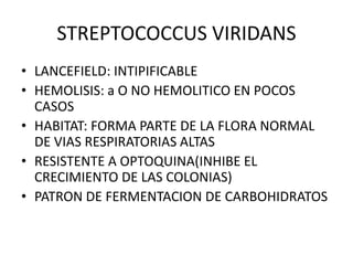 STREPTOCOCCUS VIRIDANS
• LANCEFIELD: INTIPIFICABLE
• HEMOLISIS: a O NO HEMOLITICO EN POCOS
CASOS
• HABITAT: FORMA PARTE DE LA FLORA NORMAL
DE VIAS RESPIRATORIAS ALTAS
• RESISTENTE A OPTOQUINA(INHIBE EL
CRECIMIENTO DE LAS COLONIAS)
• PATRON DE FERMENTACION DE CARBOHIDRATOS
 
