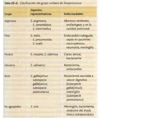 Estreptococos viridans