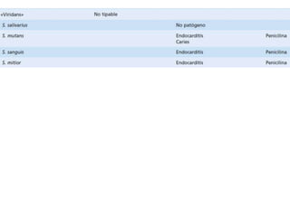 Estreptococos viridans