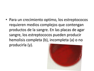 • Para un crecimiento optimo, los estreptococos
requieren medios complejos que contengan
productos de la sangre. En las placas de agar
sangre, los estreptococos pueden producir
hemolisis completa (b), incompleta (a) o no
producirla (y).
 