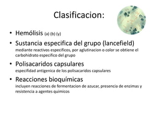 Clasificacion:
• Hemólisis (a) (b) (y)
• Sustancia especifica del grupo (lancefield)
mediante reactivos especificos, por aglutinacion o color se obtiene el
carbohidrato especifico del grupo
• Polisacaridos capsulares
especifidad antigenica de los polisacaridos capsulares
• Reacciones bioquímicas
incluyen reacciones de fermentacion de azucar, presencia de enzimas y
resistencia a agentes quimicos
 