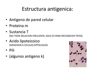 Estructura antigenica:
• Antigeno de pared celular
• Proteina m
• Sustancia T
(NO TIENE RELACION VIRULENTA, SOLO ES PARA RECONOCER TIPOS)
• Acido lipoteicoico
(ADHESION A CELULAS EPITELIALES)
• Pili
• (algunos antigeno k)
 