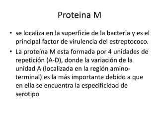 Proteina M
• se localiza en la superficie de la bacteria y es el
principal factor de virulencia del estreptococo.
• La proteína M esta formada por 4 unidades de
repetición (A-D), donde la variación de la
unidad A (localizada en la región amino-
terminal) es la más importante debido a que
en ella se encuentra la especificidad de
serotipo
 
