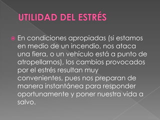 UTILIDAD DEL ESTRÉSEn condiciones apropiadas (si estamos en medio de un incendio, nos ataca una fiera, o un vehículo está a punto de atropellarnos), los cambios provocados por el estrés resultan muy convenientes, pues nos preparan de manera instantánea para responder oportunamente y poner nuestra vida a salvo.