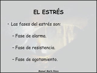 Las fases del estrés son: Fase de alarma. Fase de resistencia. Fase de agotamiento. EL ESTRÉS 