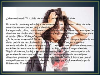 ¿Vives estresado? La dieta de tu mamá podría ser la culpable

Un estudio postula que los hijos de las mujeres que ingirieron colina durante
su embarazo responden mejor al estrés
La ingesta de colina, un nutriente presente en múltiples alimentos, es capaz de
disminuir los niveles de cortisol, hormona que el cuerpo libera como respuesta
al estrés. (Flickr/ CollegeDegrees 360)
¿Te la pasas estresado? Tal vez, sin saberlo, tu madre, o más precisamente su
dieta, podría ser la culpable de tu situación. Y es que, según sugiere un
reciente estudio, lo que una mujer comió o dejó de comer durante el embarazo
está directamente relacionado con cómo su hijo manejará luego el estrés.
Según el informe, los hijos de mujeres que ingirieron una dosis superior a la
generalmente recomendada de colina, un nutriente presente en múltiples
alimentos, presentan un nivel bastante más bajo de cortisol, hormona que el
cuerpo libera como respuesta al estrés. La investigación fue realizada por la
Universidad Cornell, en Nueva York.
 