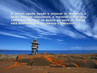 El estrés agudo ayuda a mejorar la memoria, a
tener mejores reacciones, a moverse con mayor
capacidad siempre es bueno un poco de estrés,
está diseñado para ayudarnos a sobrevivir.
 