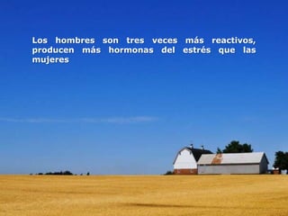 Los hombres son tres veces más reactivos,
producen más hormonas del estrés que las
mujeres
 