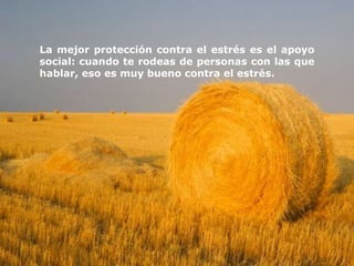 La mejor protección contra el estrés es el apoyo
social: cuando te rodeas de personas con las que
hablar, eso es muy bueno contra el estrés.
 