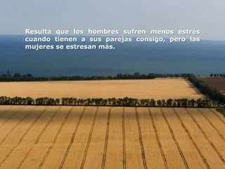 Resulta que los hombres sufren menos estrés
cuando tienen a sus parejas consigo, pero las
mujeres se estresan más.
 