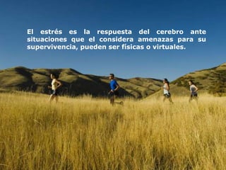 El estrés es la respuesta del cerebro ante
situaciones que el considera amenazas para su
supervivencia, pueden ser físicas o virtuales.
 