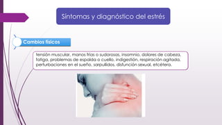 Síntomas y diagnóstico del estrés
Emociones
Depresión o ansiedad, irritabilidad, miedo, nerviosismo, confusión,
fluctuaciones del estado de ánimo, etcétera.
Pensamientos
excesivo temor al fracaso, excesiva autocrítica, olvidos, dificultad para
concentrarse y tomar decisiones, pensamientos repetitivos...
Conductas
risa nerviosa, trato brusco hacia los demás, incremento del consumo de
tabaco, alcohol y otras drogas, aumento o disminución del apetito,
llantos, rechinar los dientes o apretar las mandíbulas, etcétera.
tensión muscular, manos frías o sudorosas, insomnio, dolores de cabeza,
fatiga, problemas de espalda o cuello, indigestión, respiración agitada,
perturbaciones en el sueño, sarpullidos, disfunción sexual, etcétera.
Cambios físicos
 