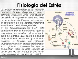 Fisiología del Estrés
La respuesta fisiológica es la reacción
que se produce en el organismo ante los
estímulos estresores. Ante una situación
de estrés, el organismo tiene una serie
de reacciones fisiológicas que suponen
la activación del eje hipofisosuprarrenal
y del sistema nervioso vegetativo.
El eje hipofisosuprarrenal (HSP) está
compuesto por el hipotálamo, que es
una estructura nerviosa situada en la
base del cerebro que actúa de enlace
entre el sistema endocrino y el sistema
nervioso, la hipófisis, una glándula
situada asimismo en la base del cerebro,
y las glándulas suprarrenales, que se
encuentran sobre el polo superior de
cada uno de los riñones y que están
compuestas por la corteza y la médula.
 