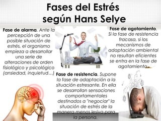 Fases del Estrés
según Hans Selye
Fase de alarma. Ante la
percepción de una
posible situación de
estrés, el organismo
empieza a desarrollar
una serie de
alteraciones de orden
fisiológico y psicológico
(ansiedad, inquietud…) Fase de resistencia. Supone
la fase de adaptación a la
situación estresante. En ella
se desarrollan sensaciones
comportamentales
destinados a "negociar" la
situación de estrés de la
manera menos lesiva para
la persona.
Fase de agotamiento.
Si la fase de resistencia
fracasa, si los
mecanismos de
adaptación ambiental
no resultan eficientes
se entra en la fase de
agotamiento.
 