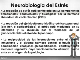 Neurobiología del Estrés
• La reacción de estrés está controlada en sus componentes
emocionales, conductuales y fisiológicos por la hormona
liberadora de corticotropina (CRH).
• La reacción del eje hipotálamo-hipófiso-córticosuprarrenal
(eje HPA o corticotrópico) al estrés está modulado en su
intensidad y su duración por el feedback de los
glucocorticoides al nivel del hipocampo.
• La reciprocidad de las interacciones entre el sistema
inmunitario y el sistema nervioso central, a través de la
combinación citoquinas-glucocorticoides, constituye otro
elemento regulador cuyo funcionamiento alterado puede
estar en el origen de la patología.
 