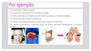 ◦ Un exceso de ira daña el hígado.
◦ Un exceso de miedo daña a los riñones y la vejiga.
◦ Un exceso de alegría, la híperexcitación, daña el corazón y el intestino delgado.
◦ Un exceso de tristeza daña los pulmones.
◦ Un exceso de ansiedad perjudica el estómago, el bazo y el páncreas.
◦ Un exceso de dominio y autoridad sobre las demás personas desequilibran el intestino
grueso.
 