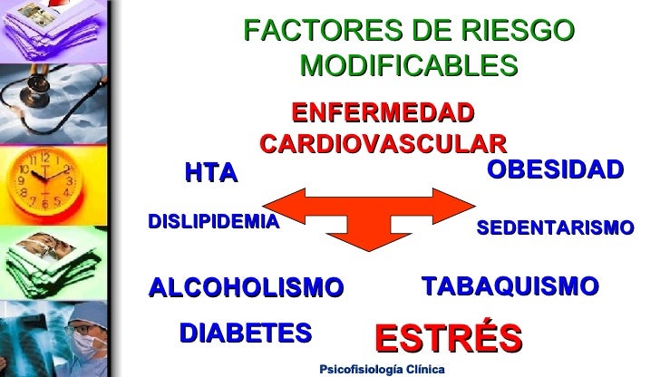 Estres Como Factor De Riesgo Cardiovascular Heg Estres Como Factor De Riesgo Cardiovascular Heg