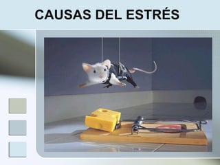 CAUSAS DEL ESTRÉS
 