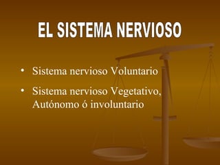 EL SISTEMA NERVIOSO Sistema nervioso Voluntario Sistema nervioso Vegetativo, Autónomo ó involuntario 