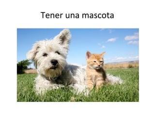 Tener una mascota
 