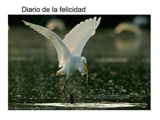 Diario de la felicidad
 