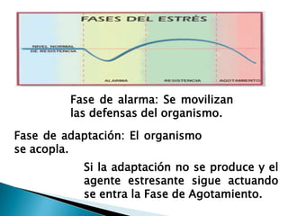 Fase de alarma: Se movilizan
         las defensas del organismo.

Fase de adaptación: El organismo
se acopla.
           Si la adaptación no se produce y el
           agente estresante sigue actuando
           se entra la Fase de Agotamiento.
 