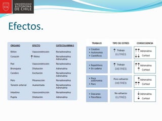 Efectos.
 