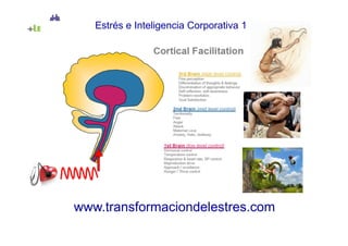 Estrés e Inteligencia Corporativa 1




www.transformaciondelestres.com
 