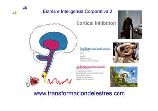Estrés e Inteligencia Corporativa 2




www.transformaciondelestres.com
 