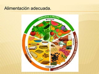 Alimentación adecuada. 
 