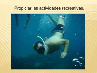 Propiciar las actividades recreativas. 
 