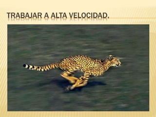 TRABAJAR A ALTA VELOCIDAD. 
 