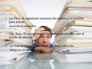 1ra Fase. el organismo reconoce las señales y se amolda para actuar.  Secreción de adrenalina 2da. Fase. El cuerpo repara los daños provocados por el estado de alarma  3ra. Fase El organismo permanece  en alerta  todo el día.   Reducción de sus capacidades 