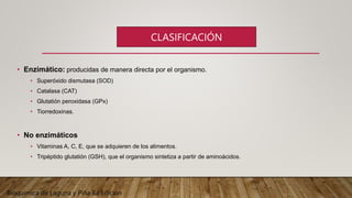 • Enzimático: producidas de manera directa por el organismo.
• Superóxido dismutasa (SOD)
• Catalasa (CAT)
• Glutatión peroxidasa (GPx)
• Tiorredoxinas.
• No enzimáticos
• Vitaminas A, C, E, que se adquieren de los alimentos.
• Tripéptido glutatión (GSH), que el organismo sintetiza a partir de aminoácidos.
CLASIFICACIÓN
Bioquimica de Laguna y Piña 8a Edicion
 