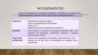 NO ENZIMÁTICOS
Vitamina C Neutraliza el oxígeno singlete
Captura radicales libres de hidroxilo
Captura O 2
Regenera la forma oxidada de la vitamina E.
Glutatión Actua frente a numerosos compuestos oxidantes, tales como
peróxido de hidrógeno, superóxido, hidroxilo y especies
reactivas del carbono.
Flavonoides
polifenólicos
Actúan como quelantes de metales y capturadores in vitro.
Pueden ser de tipo lipo e hidrosolubles, se localizan intra y
extracelular.
Grupo heterogéneo de moléculas hidrófobas e hidrófilas que capturan RL y
originan especies químicas menos nocivas para la integridad celular.
Rev Invest Med Sur Mex, 2013; 20 (3): 161-168
 