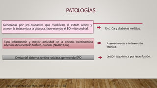 PATOLOGÍAS
Deriva del sistema xantina-oxidasa, generando ERO
Generadas por pro-oxidantes que modifican el estado redox y
alteran la tolerancia a la glucosa, favoreciendo el EO mitocondrial.
Tipo inflamatorio y mayor actividad de la enzima nicotinamida
adenina dinucleótido fosfato-oxidasa (NADPH-ox).
Rev Invest Med Sur Mex, 2013; 20 (3): 161-168
Enf. Ca y diabetes mellitus.
Aterosclerosis e inflamación
crónica.
Lesión isquémica por reperfusión.
 
