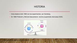 HISTORIA
• Inicia desde el año 1900 con los experimentos por Gomberg.
• En 1960 Fridovich y McCord descubrieron enzima (superóxido dismutasa SOD).
Bioquímica de laguna y piña 8va edición
 