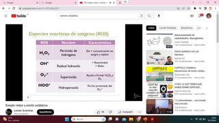Cómo se forman los
radicales libres
Anión superóxido 02 Reducción monovalente
de oxígeno molecular.
Radical Hidróxilo (OH)
Rotura del enlace
covalente entre el
oxígeno y un hidrógeno.
de una molécula de H20.
Radical Peróxilo (ROO)
Por acción de un radical
libre de 02, OH, sobre las
cadenas de los ácidos
grasos polinsaturados.
 