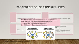 PROPIEDADES DE LOS RADICALES LIBRES
1.Avidez para aceptar e- de las moléculas. 2. Modifican la estructura o la función de éstas.
3. Alteran la arquitectura de los tejidos.
4. Son inestables tanto cinética como
energéticamente.
Propiedades = Inestables
Energético = ganancia o pérdida de electrones.
Cinético = capacidad de combinarse
Cinética: Tienden a complementar en su última órbita o
nivel, 8 e- por lo cual participan en procesos de:
1. Reducción = Pérdida de electrones.
2. Oxidación = Ganancia de electrones.
Bioquímica de laguna y piña 8va edición
 