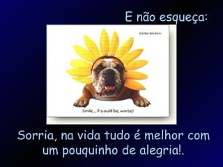 E não esqueça: Sorria, na vida tudo é melhor com um pouquinho de alegria!. 