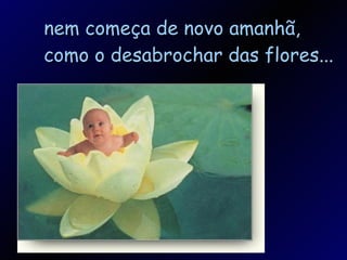 nem começa de novo amanhã, como o desabrochar das flores... 