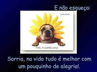 E não esqueça: Sorria, na vida tudo é melhor com um pouquinho de alegria!. 