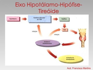 Acd. Francisco Martins 