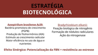ESTRESSE HÍDRICO ASSOCIADO AO MIX DE BACTÉRIAS PROMOTORAS DE ...