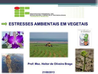 Prof: Msc. Heitor de Oliveira Braga
21/08/2013
ESTRESSES AMBIENTAIS EM VEGETAIS
 