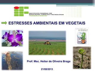 21/08/2013
Prof: Msc. Heitor de Oliveira Braga
ESTRESSES AMBIENTAIS EM VEGETAIS
 