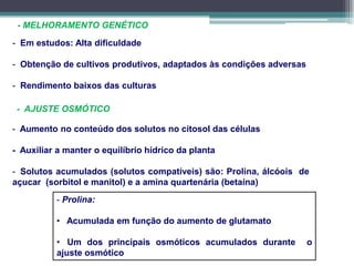 - MELHORAMENTO GENÉTICO
- Em estudos: Alta dificuldade
- Obtenção de cultivos produtivos, adaptados às condições adversas
- Rendimento baixos das culturas
- AJUSTE OSMÓTICO
- Aumento no conteúdo dos solutos no citosol das células
- Auxiliar a manter o equilíbrio hídrico da planta
- Solutos acumulados (solutos compatíveis) são: Prolina, álcóois de
açucar (sorbitol e manitol) e a amina quartenária (betaína)
- Prolina:
• Acumulada em função do aumento de glutamato
• Um dos principais osmóticos acumulados durante o
ajuste osmótico
 