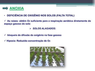 ANOXIA
• DEFICIÊNCIA DE OXIGÊNIO NOS SOLOS (FALTA TOTAL)
 As raízes: obtêm O2 suficiente para a respiração aeróbica diretamente do
espaço gasoso do solo
 bloqueio da difusão do oxigênio na fase gasosa
 Hipoxia: Reduzida concentração de O2
 SOLOS ALAGADOS:
 